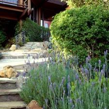 gallery-landscaping 37
