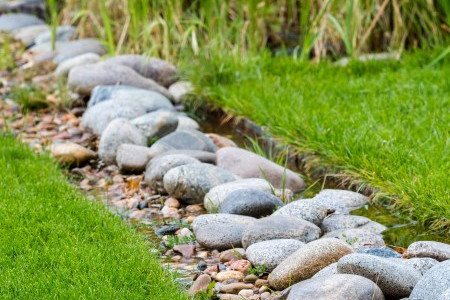 Conserve Water With Landscape Design