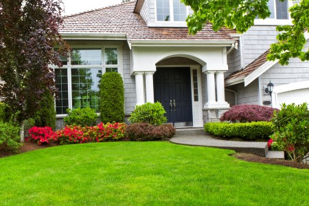 Frontyard landscaping