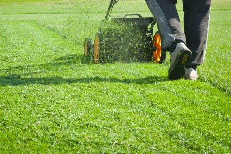 Hire professional lawn fertilization services