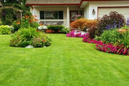 San Mateo Front Yard Landscaping