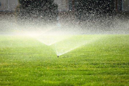 Save water on your california landscape