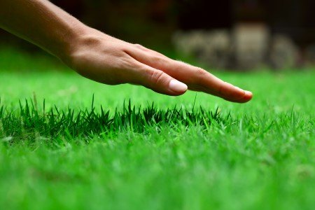 Using the right lawn care home