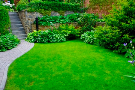 What You Should Know About Seasonal Lawn Care