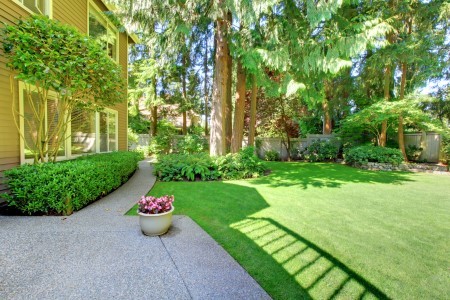 Menlo Park Landscaping